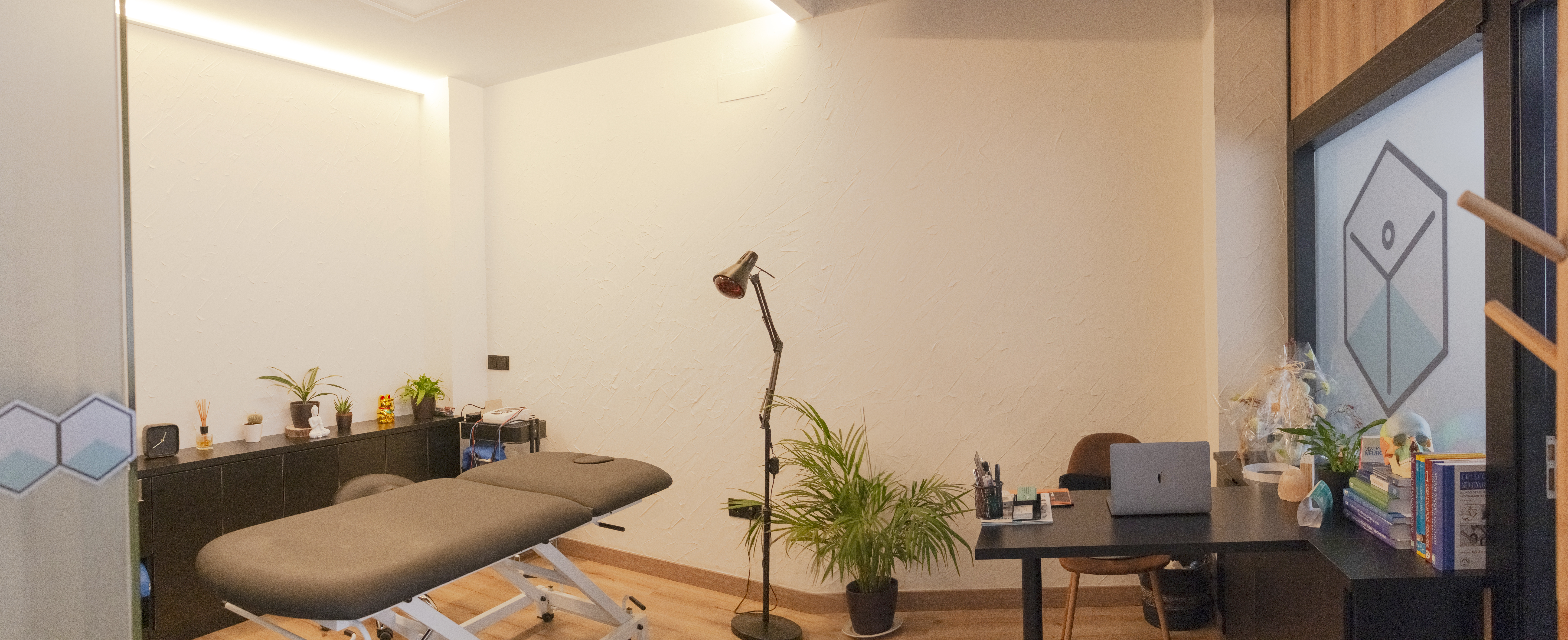 fisio Consulta Fisioterapia